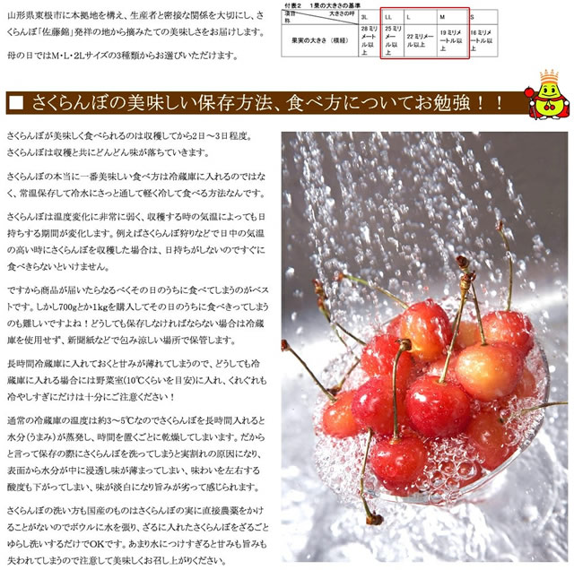 山形県産 さくらんぼ 佐藤錦