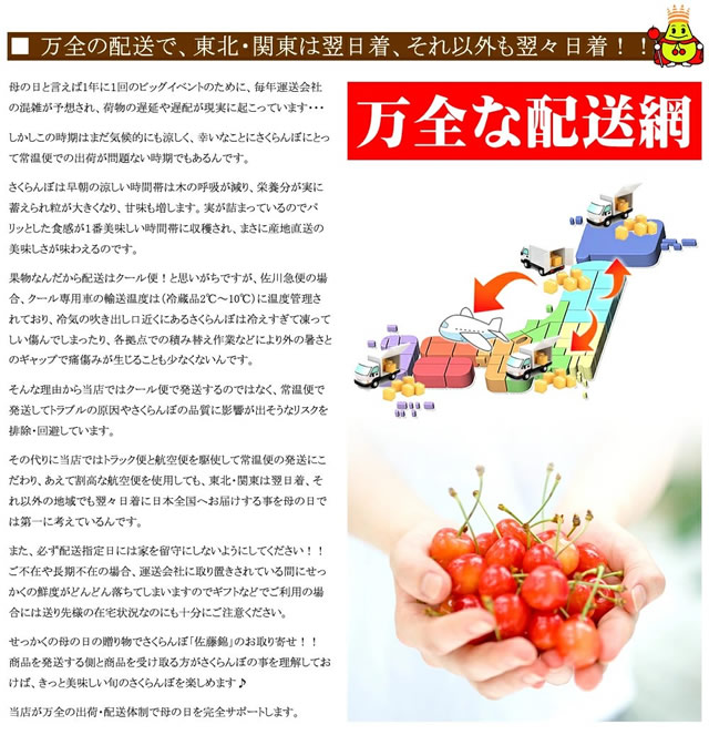 山形県産 さくらんぼ 佐藤錦