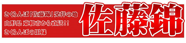 山形県産 さくらんぼ 佐藤錦