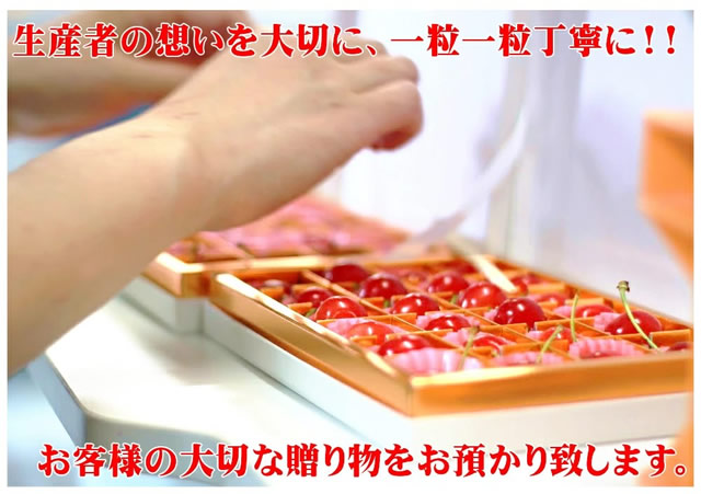 山形県産 さくらんぼ 佐藤錦