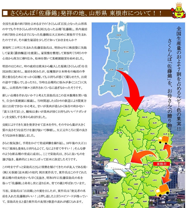 山形県産 さくらんぼ 佐藤錦