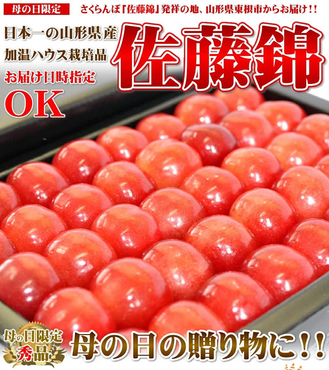 山形県産 さくらんぼ 佐藤錦