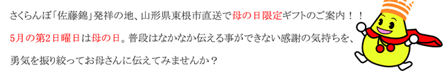 山形県産 さくらんぼ 佐藤錦