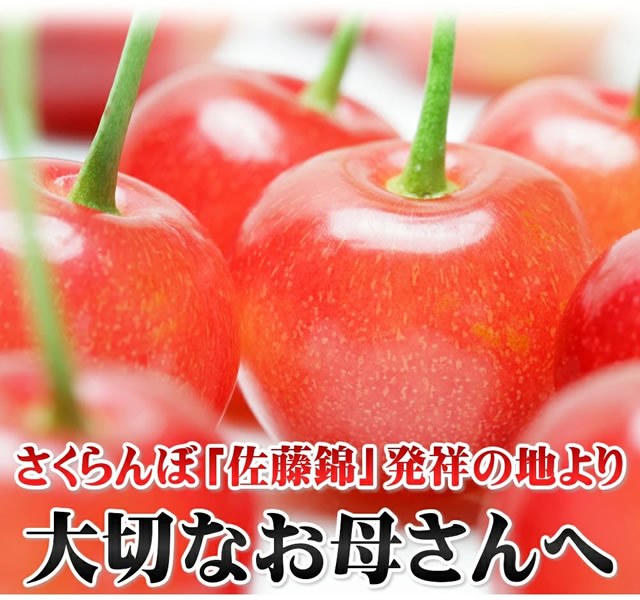 山形県産 さくらんぼ 佐藤錦
