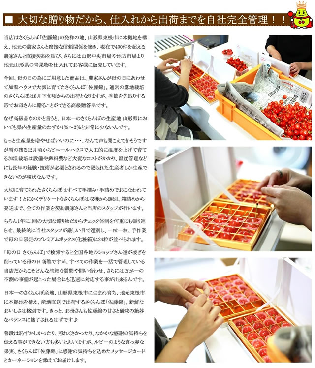 山形県産 さくらんぼ 佐藤錦