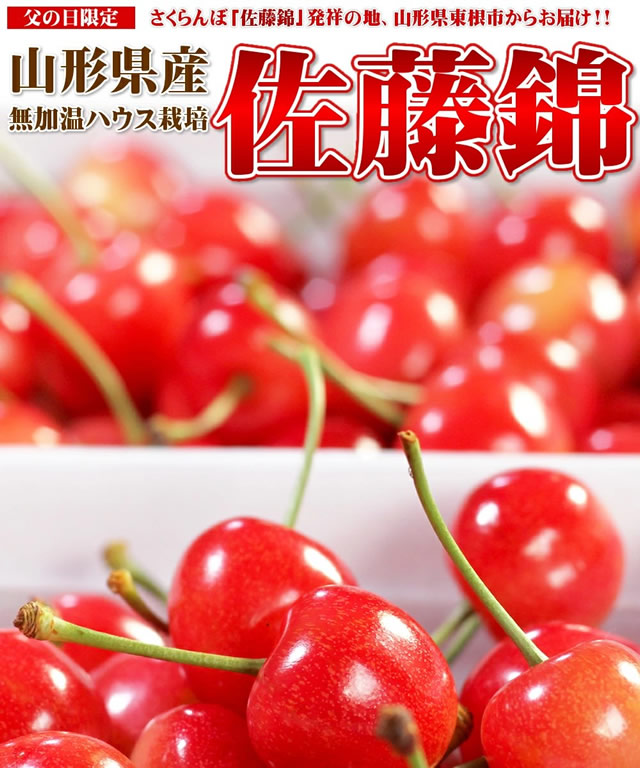 山形県産 さくらんぼ 佐藤錦