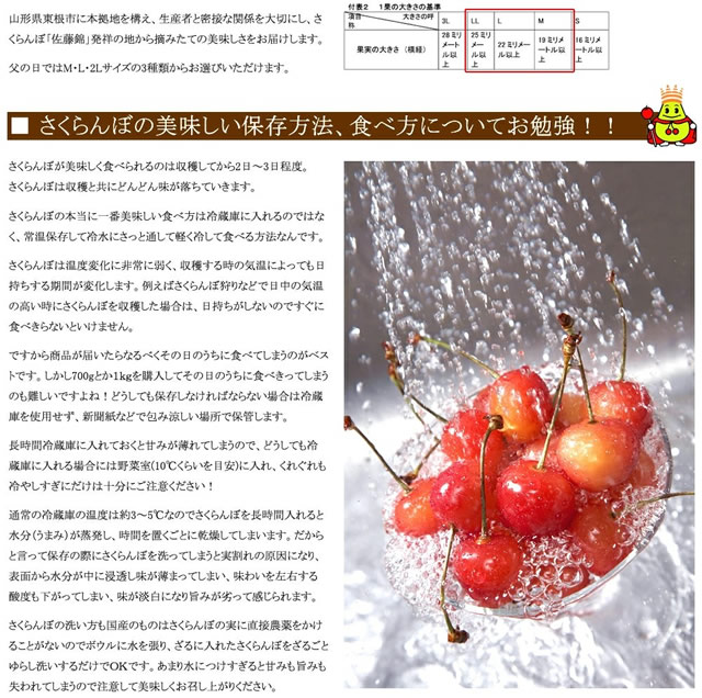 山形県産 さくらんぼ 佐藤錦