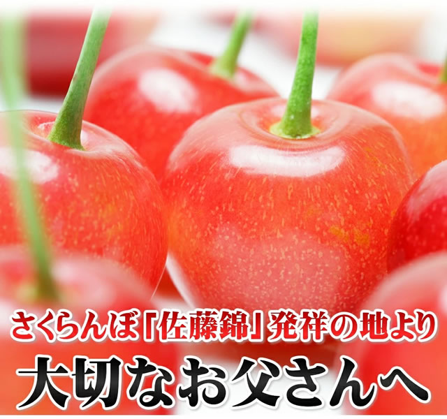 山形県産 さくらんぼ 佐藤錦