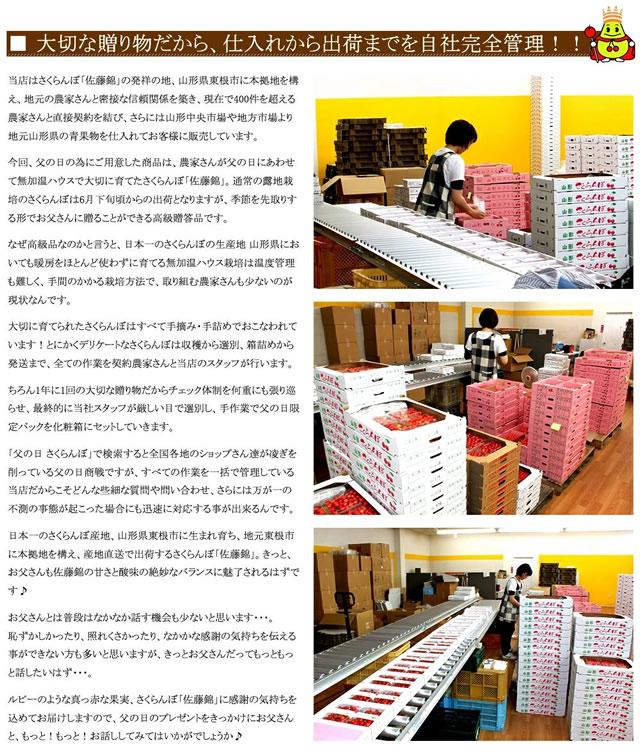 山形県産 さくらんぼ 佐藤錦