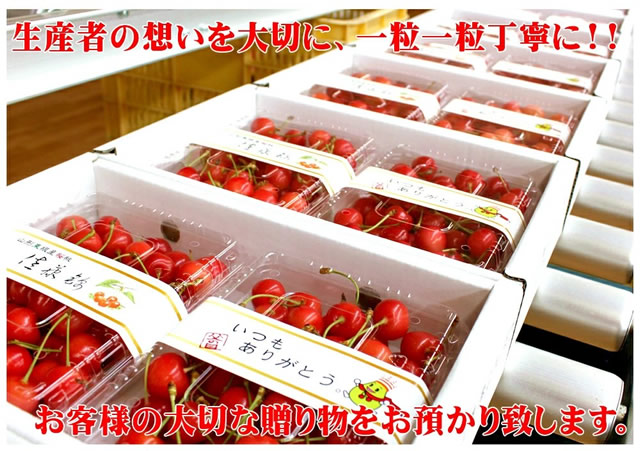 山形県産 さくらんぼ 佐藤錦
