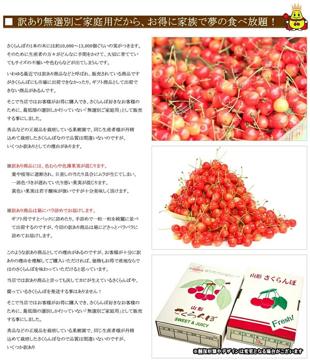 山形県産 さくらんぼ 佐藤錦
