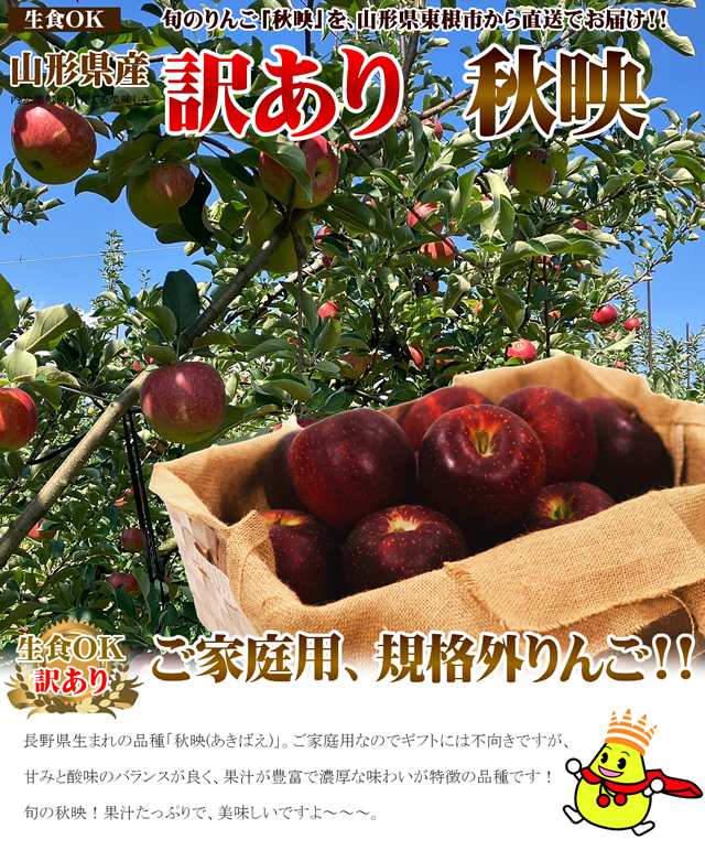 山形県産 訳あり 秋映