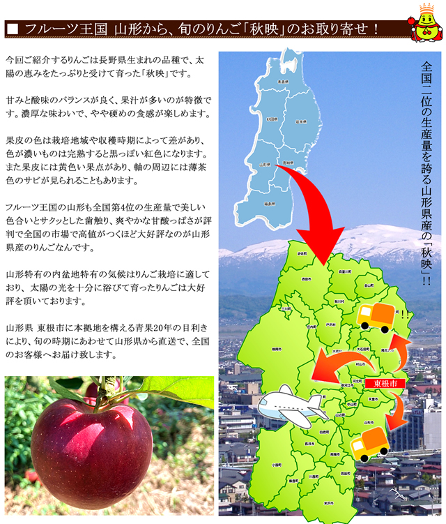 山形県産 訳あり 秋映