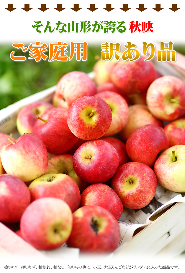 山形県産 訳あり 秋映