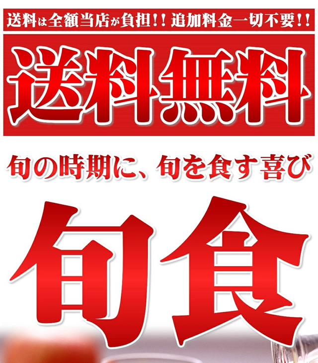 青森県産 ジュース用 りんご サンふじ