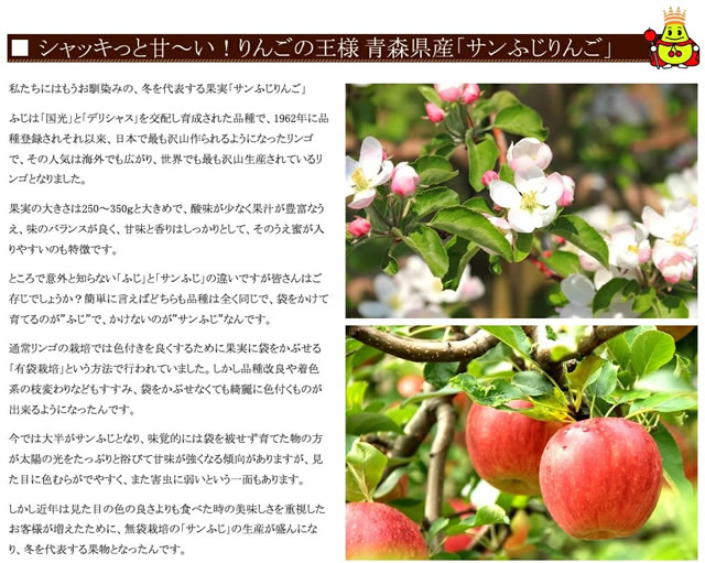 青森県産 ジュース用 りんご サンふじ