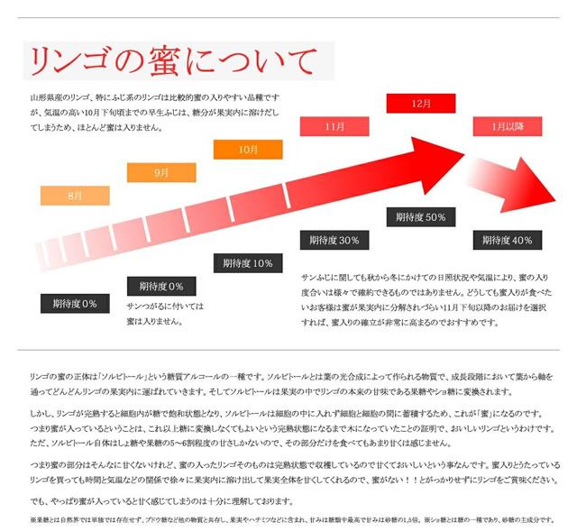 青森県産 ジュース用 りんご サンふじ