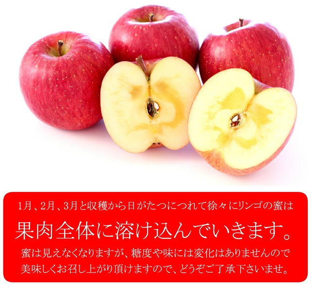 青森県産 ご家庭用 りんご サンふじ