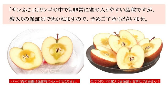青森県産 ご家庭用 りんご サンふじ