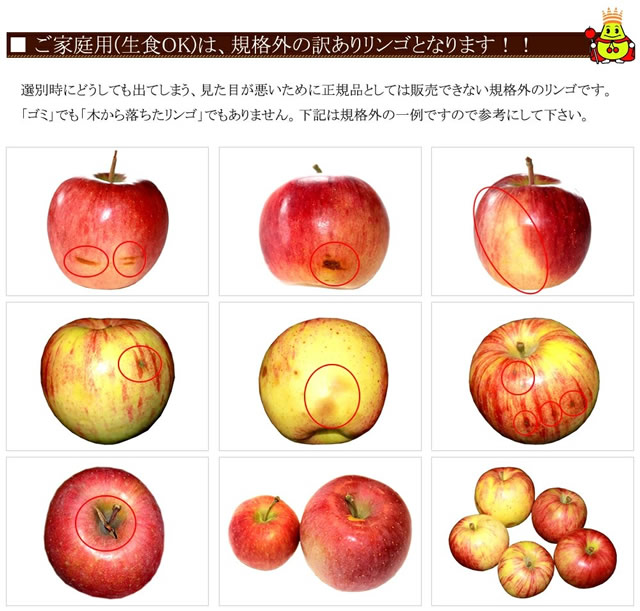 青森県産 ご家庭用 りんご サンふじ