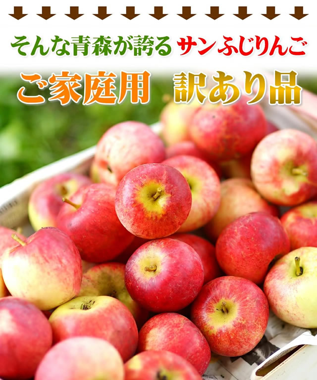 青森県産 ご家庭用 りんご サンふじ
