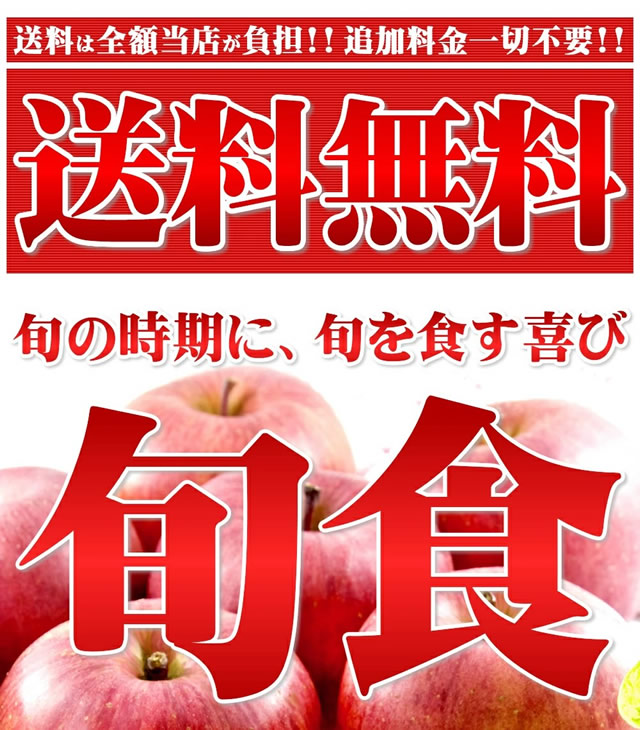 青森県産 ご家庭用 りんご サンふじ