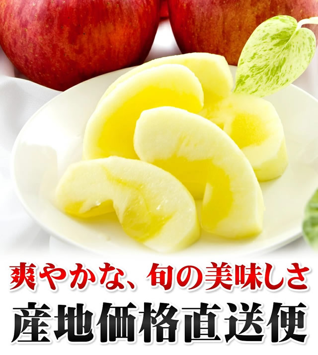 青森県産 ご家庭用 りんご サンふじ
