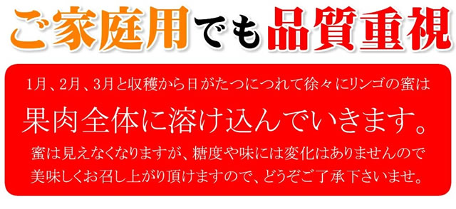 青森県産 ご家庭用 準秀品 りんご サンふじ
