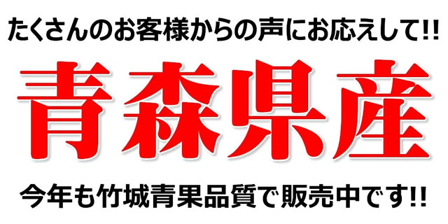 青森県産 ご家庭用 準秀品 りんご サンふじ