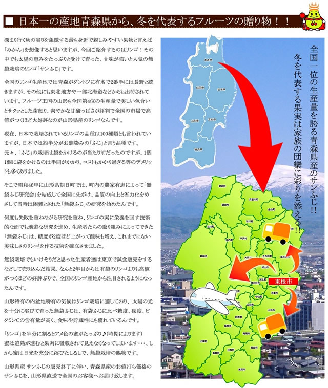 青森県産 ご家庭用 準秀品 りんご サンふじ