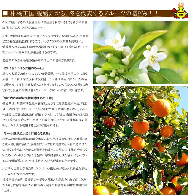 愛媛県産 秀品 紅まどんな