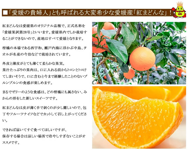 愛媛県産 秀品 紅まどんな