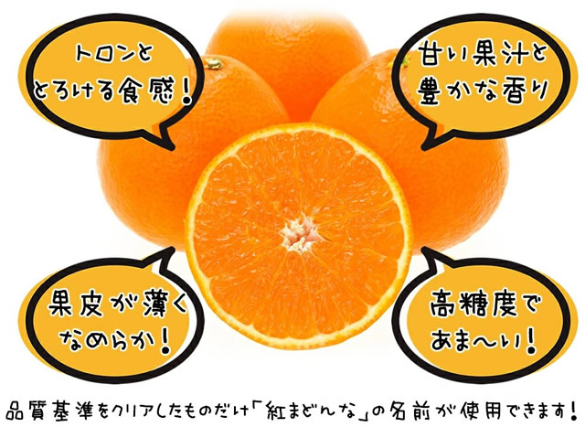 愛媛県産 ご家庭用 紅まどんな