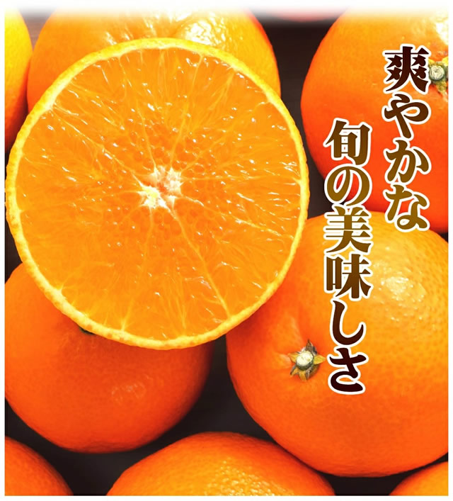 愛媛県産 ご家庭用 紅まどんな