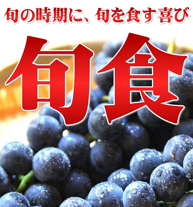 山形県産 ぶどう キャンベル
