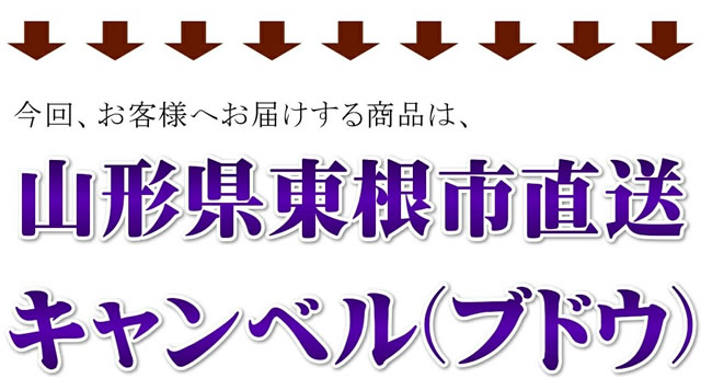 山形県産 ぶどう キャンベル
