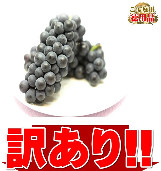 山形県産 ぶどう キャンベル