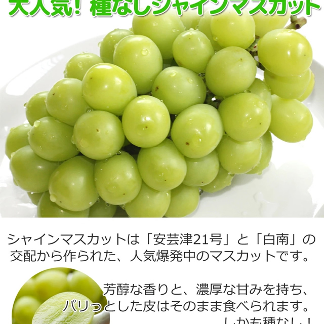 山形県産 ぶどう ピオーネ
