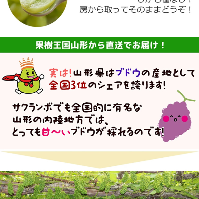 山形県産 ぶどう ピオーネ