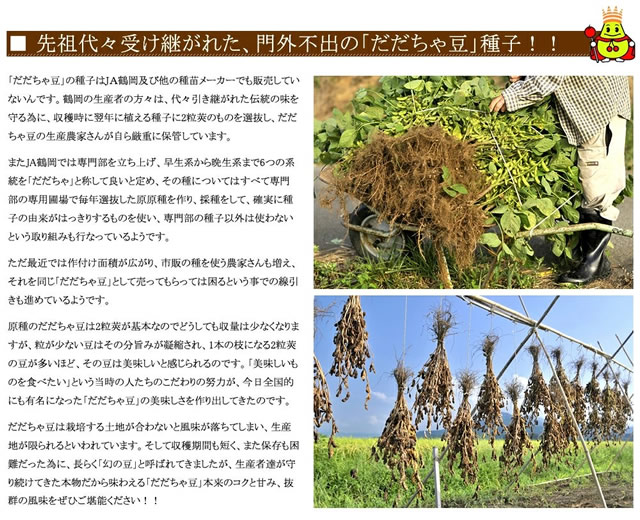 山形県鶴岡産 枝豆「だだちゃ豆」