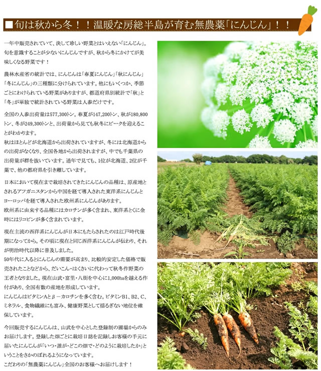 ご家庭用 サンふじ&無農薬にんじん