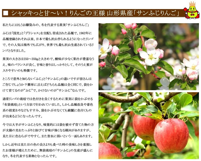 ご家庭用 サンふじ&無農薬にんじん