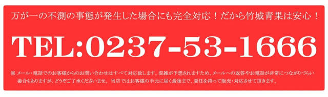 秀品 ふじ&ラフ 詰め合わせ