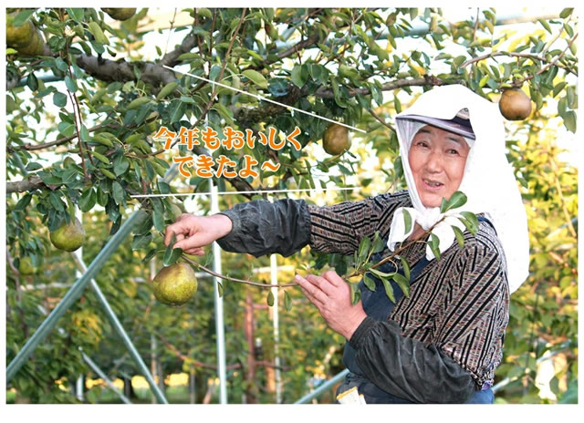 秀品 ふじ&ラフ 詰め合わせ