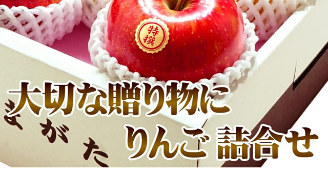 特秀品 サンふじ&シナノゴールド 詰め合わせ