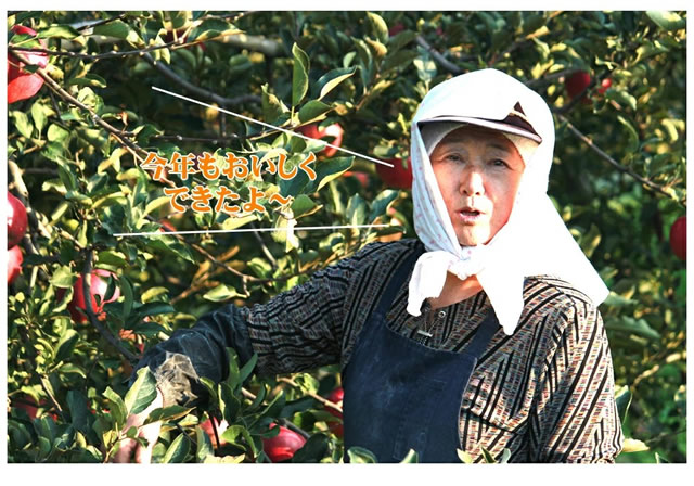 特秀品 サンふじ&シナノゴールド 詰め合わせ