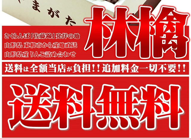 特秀品 サンふじ&シナノゴールド 詰め合わせ