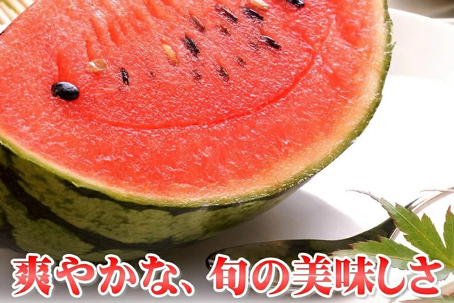 山形県産 小玉すいか