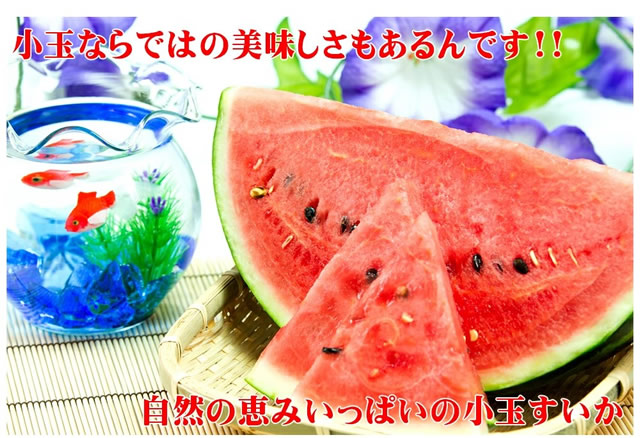 山形県産 小玉すいか
