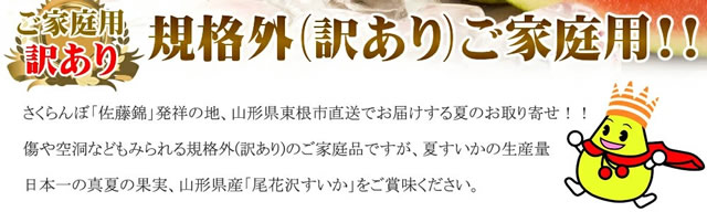 山形県産 尾花沢すいか